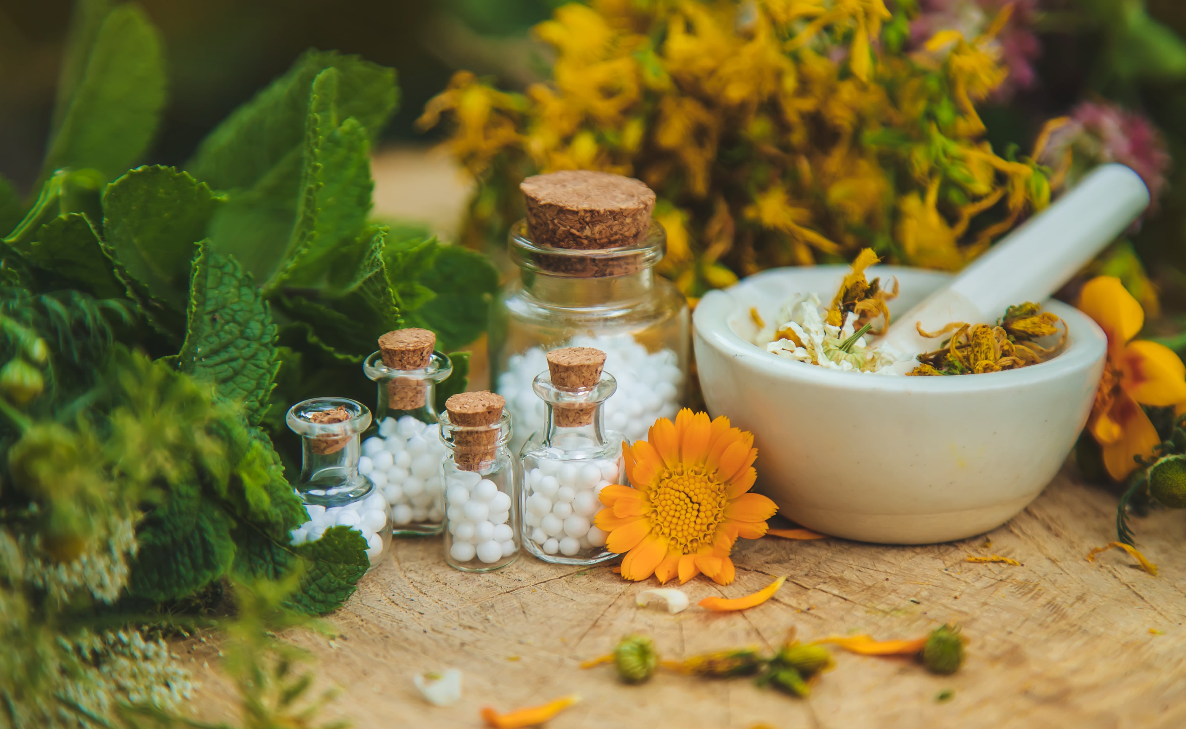 Homeopathy Treatment