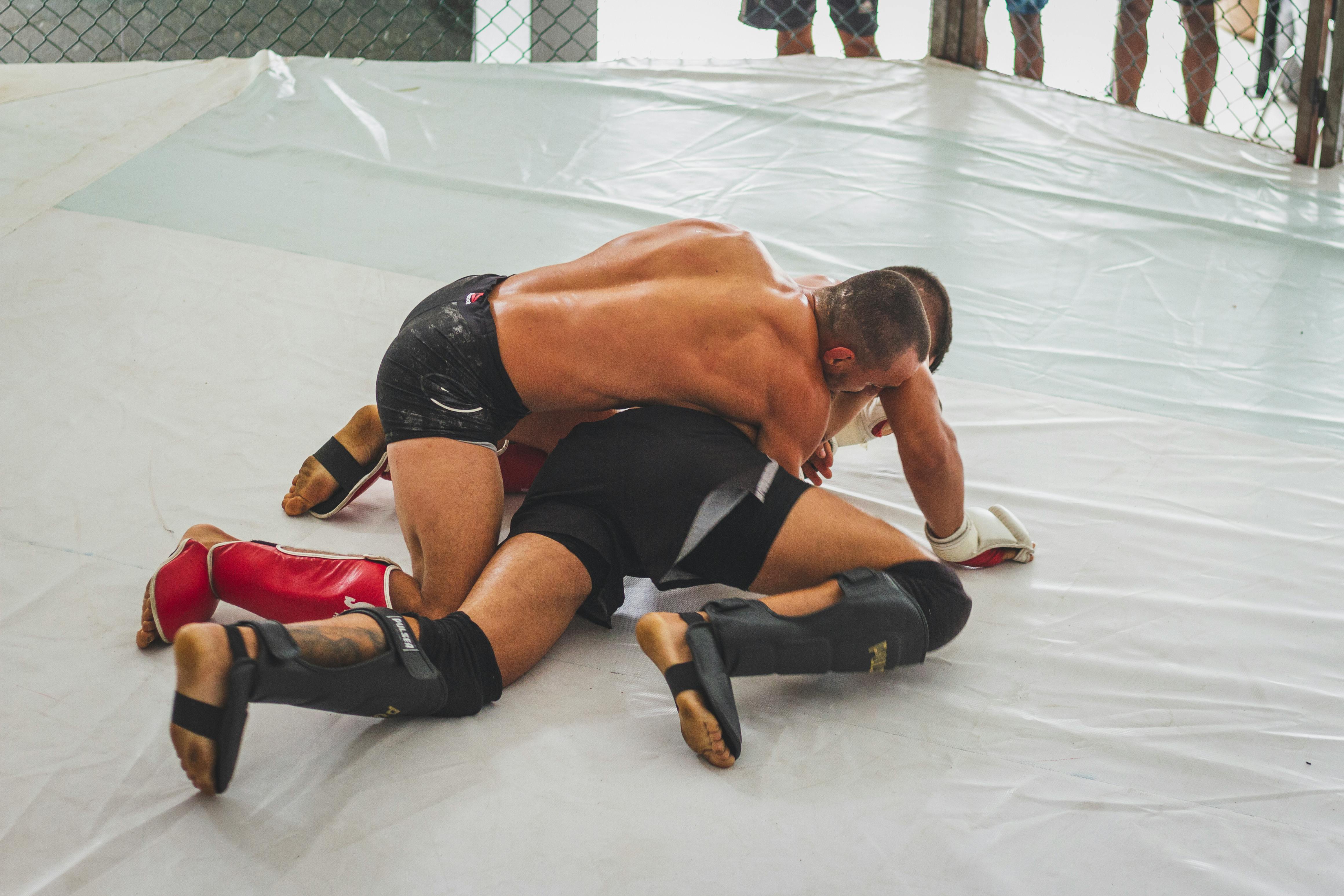 Wrestling Image